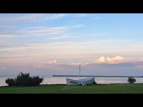 Видео: Эмоции. Чувства. Состояния