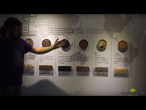 Видео: Тайвань. Пинлинь, Музей Чая.