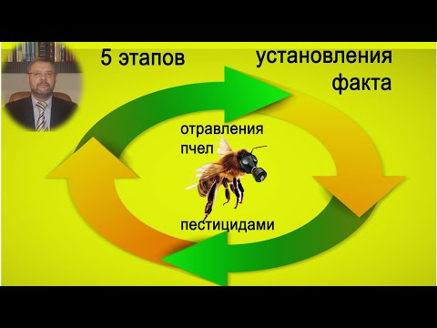 Видео: 5 этапов по установлению факта отравления пчел пестицидами mp4