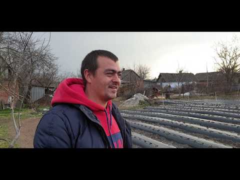 Видео: Где взять качественную рассаду. В гостях у Бизнес на 50 сотках.