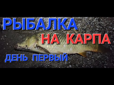 Видео: РЫБАЛКА НА КАРПА. ДЕНЬ ПЕРВЫЙ.