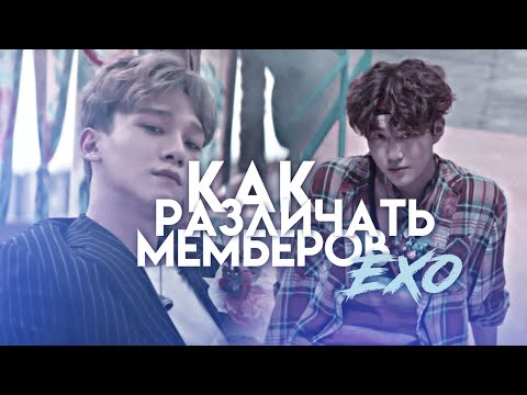 Видео: Как различать мемберов EXO ➤ K-POP