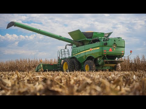 Видео: Попытка собрать кукурузу в наихудших возможных условиях