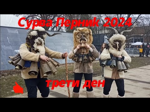 Видео: Сурва Перник 2024-трети ден/кукери👍Surva Pernik 2024-third day/kukers