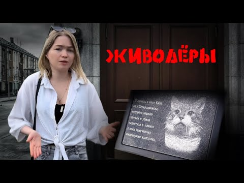 Видео: Котят избили, переломали ноги, окровавленные, без зубов, они с трудом выползли из подвала...