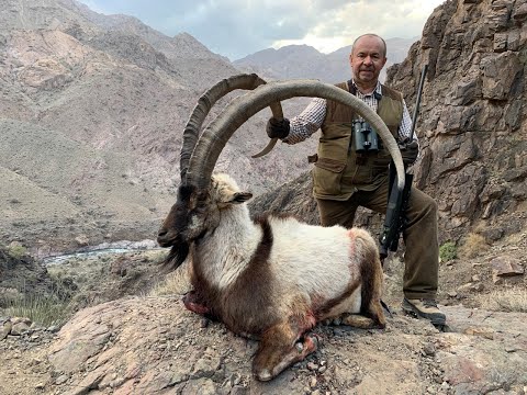 Видео: WORLD RECORD Persian Desert Ibex! IRAN. Экспедиции Александра Егорова