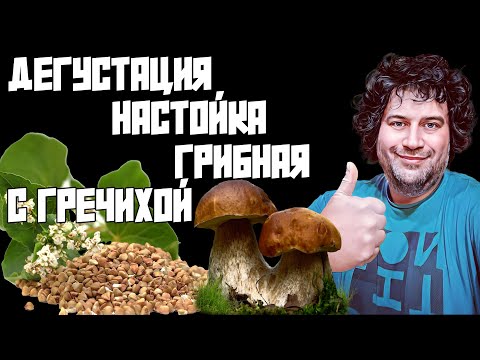 Видео: НАСТОЙКА ГРИБНАЯ С ГРЕЧИХОЙ ОТ АЛТАЙСКОГО ВИНОКУРА | ФИЛЬТРУЕМ И ДЕГУСТИРУЕМ