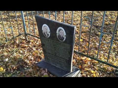 Видео: Деревни Липки и Войки (Брянская область, Почепский район, Дмитровский сельсовет)