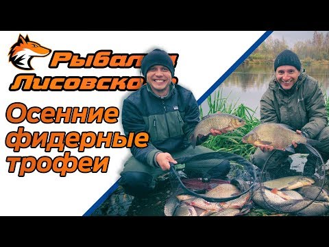 Видео: Ловля леща и язя на фидер поздней осенью