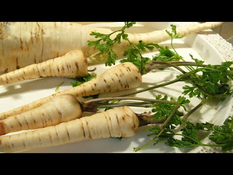 Видео: Как я готовлю корневую петрушку на зиму