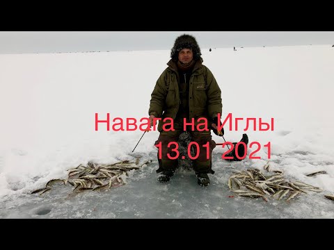 Видео: Навага на иглы 2021год 13 января