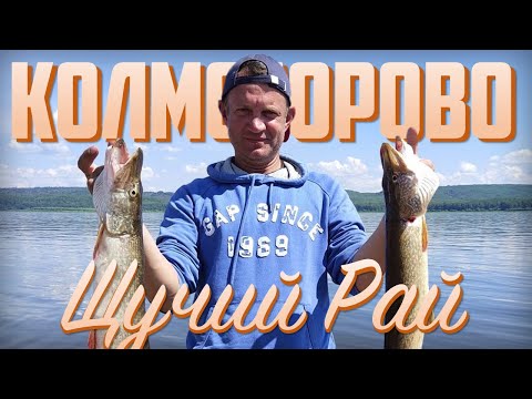 Видео: Рыбалка на окуня и щуку, обкатываем мотор Yamaha Veos и лодку Салют-430 - Енисейские хроники 2020