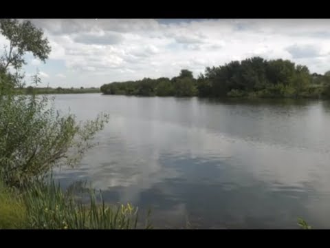 Видео: Село Большой Мартын Панинского района