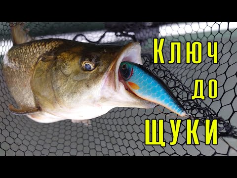 Видео: Приманка + проводка, що змінили все! І ще несподіваний трофей…