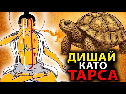 Видео: КАТО ДИШАШ ТАКА, МАНИПУЛИРАШ РЕАЛНОСТТА...