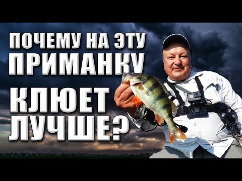 Видео: В чем секрет этой приманки? Почему на неё клюет лучше? Ловим окуня среди камней на Arion 702 ULS