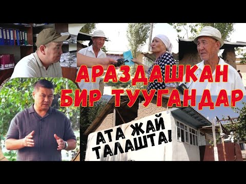 Видео: ТАМ ТАЛАШКАН ЖЕҢЕ МЕНЕН БИР ТУУГАНДАР!