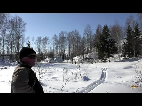 Видео: Пасека, (обсеяли тачок золой)