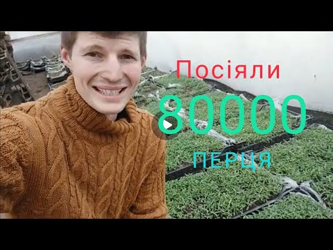 Видео: Посіяв розсаду 80 000 перцю  універсальним способом