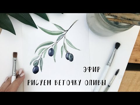 Видео: Рисуем веточку Оливы в прямом эфире)