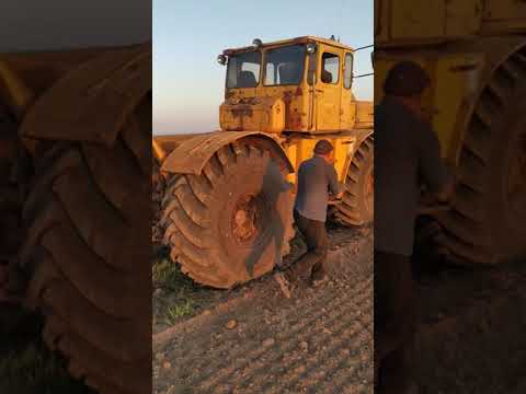 Видео: К 700 и арычник.