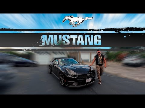 Видео: Ford Mustang 2024 - тест-драйв длиной 2300 км по Америке!