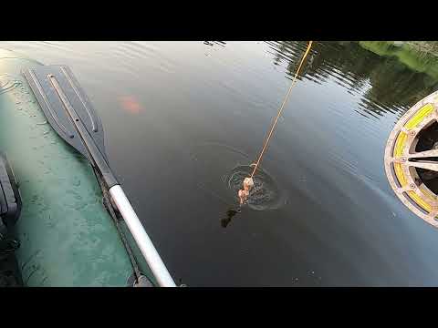 Видео: Ловля сома на квок в Латвии.На Рыбалку,для души!!!