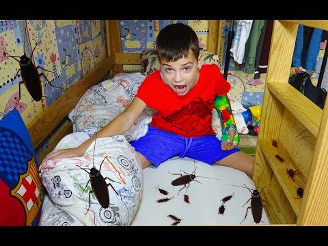 Видео: ГОША НАГЛЕЕТ... значит будет СПАТЬ С ТАРАКАНАМИ...