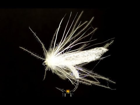 Видео: White Angel Fly. Dry fly. (Сухая мушка)