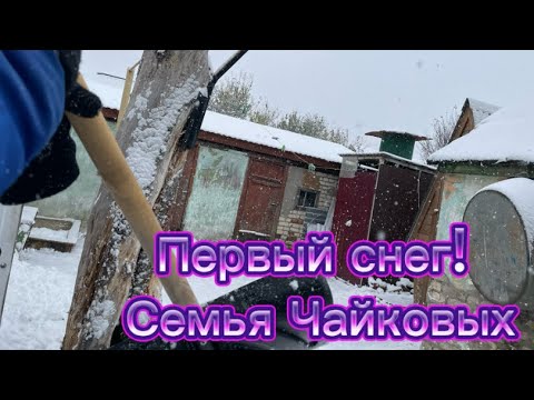 Видео: Первый снег! История#1 | Семья Чайковых