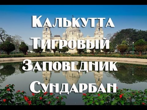 Видео: Индия , Калькутта и Нац Парк Сундарбан самостоятельно