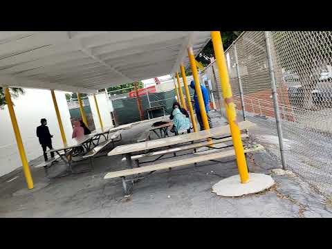 Видео: Америкаға бару, көшу кімге тиімді және кімге тиімсіз Америкадағы жігіттің пікірі