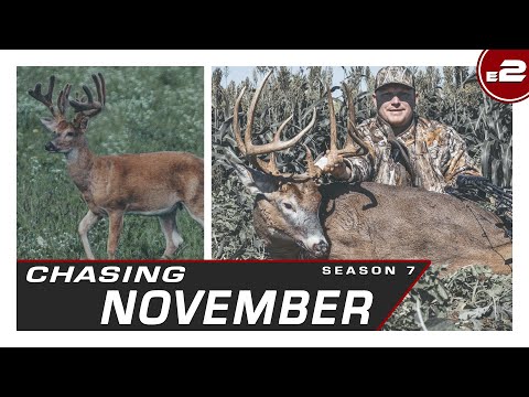 Видео: E2: Столкновение в упор, 5-летняя Джорджия Брут | В погоне за ноябрём, 7-й сезон