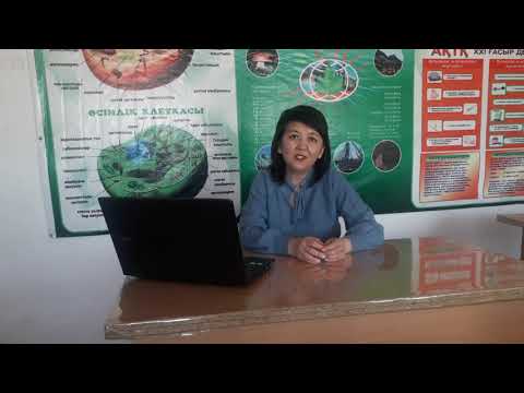 Видео: Өркен мен бүршік