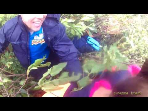 Видео: Спасение девушки, на которую напал медведь.