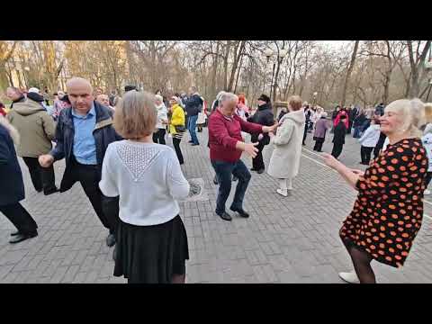 Видео: 12.04.25г..."Я для Тебя Одной живу, Любовь Моя"... звучит в Гомельском парке...