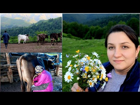 Видео: Էս Մի Օրն Էլ Էսպես Անցավ-Природа-Чистый воздух-Полевые Цветы-Շամշադինի Համը-Шамшадин