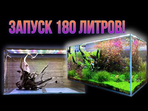 Видео: Запуск Аквариум скейп на 180 литров