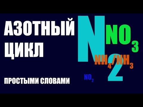 Видео: Азотный цикл. #Аквариумный_вопрос №1