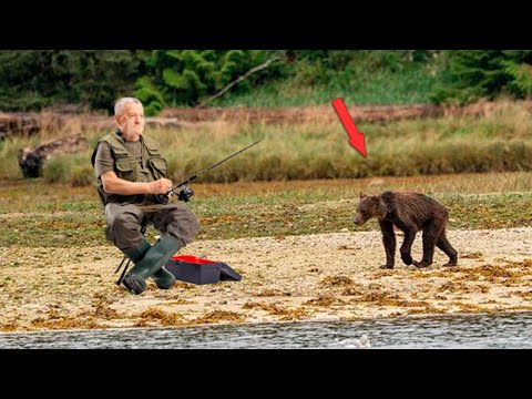 Видео: Отощавший голодный медвежонок совсем отчаялся. Он вышел к людям и взмолился о кусочке еды!