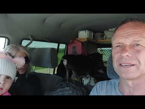 Видео: Сахалин - Белгород 2022