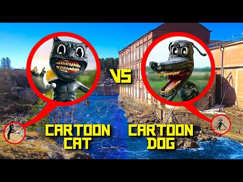 Видео: Дрон записал CARTOON DOG накинулся на CARTOON CAT! **картун кэт существует**
