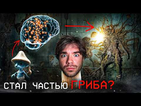 Видео: Это сделал ГРИБ | Интеллект без МОЗГА | РазМИШления