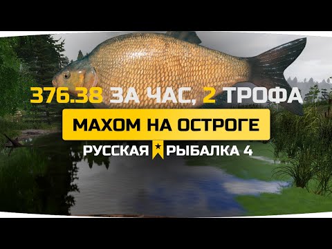 Видео: Ловля леща на Старом Остроге на махи. Русская рыбалка 4