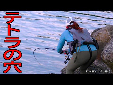 Видео: Большую рыбу поймали и затащили в нору четвероногих.