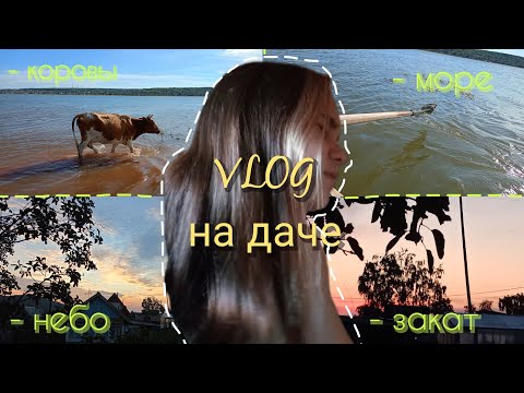 Видео: Vlog на даче // день со мной // порвался тапок // Мой весëленький день ☀