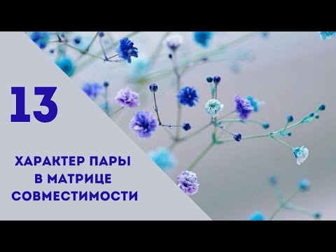 Видео: Совместимось.13 энергия в характере пары.Матрица судьбы.