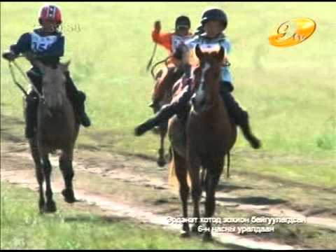 Видео: Хангайн бүс худалдааны төвийн нэрэмжит уралдаан 2013 он. ШҮДЛЭН-8