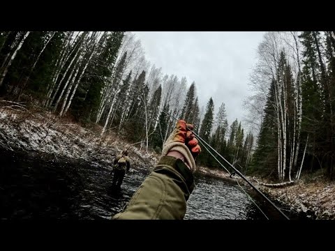 Видео: Как мы с братом на дикую таежную речку ходили. На пути наткнулись на избушку