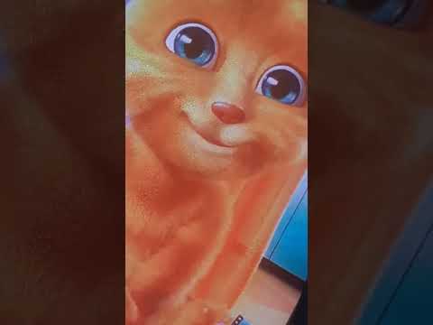 Видео: 13 октября 2025 г.